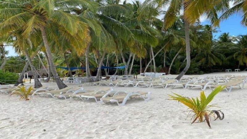 Punta Cana: Saona Island Day Trip with Lunch & Drinks - Who Should Book This Tour?