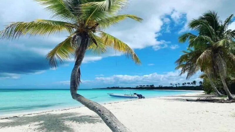 Punta Cana: Saona Island Day Trip with Lunch & Drinks - FAQs