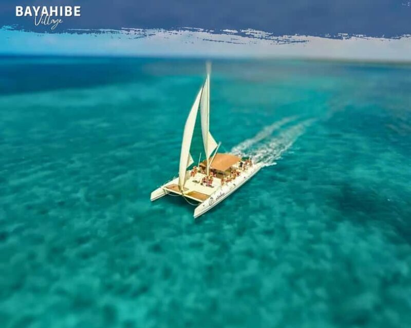 Punta Cana: Saona Island Day Trip with Lunch & Drinks - An Introduction to the Saona Island Day Trip Experience