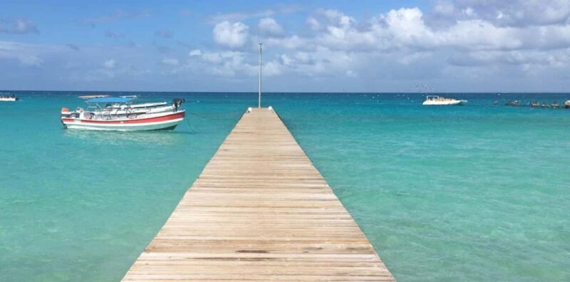 Punta Cana: Saona Island Day Trip with VIP Option - Good To Know