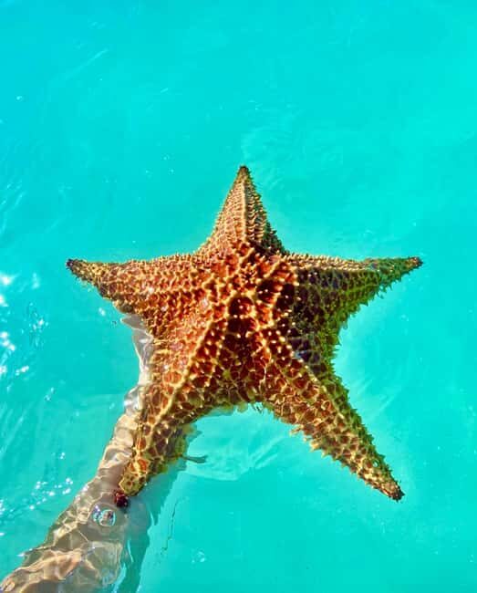 Punta Cana: Saona Island Exclusive Private Beach, Open Bar & Premium Lunch - Good To Know  