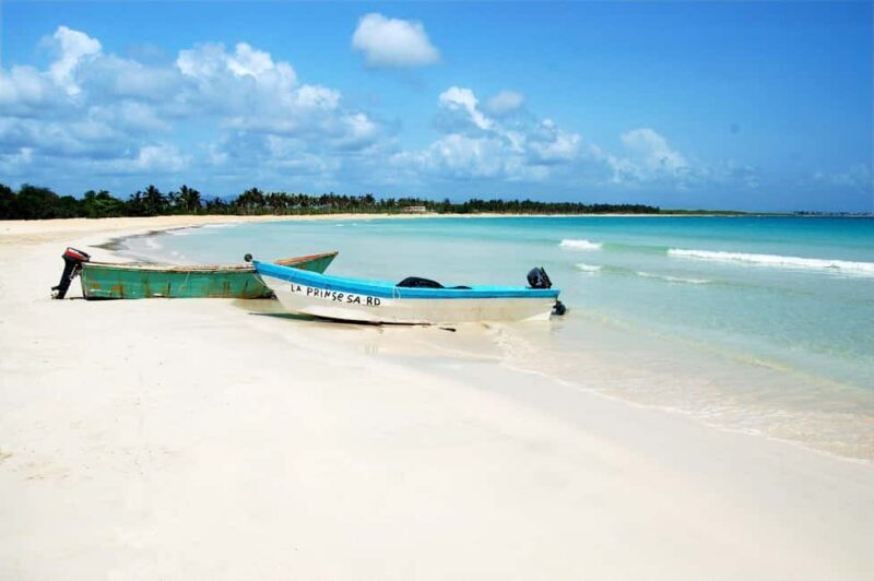 Punta Cana: Saona Island Full-Day Open Bar, Lunch & Transfer - What Travelers Say: The Real Deal