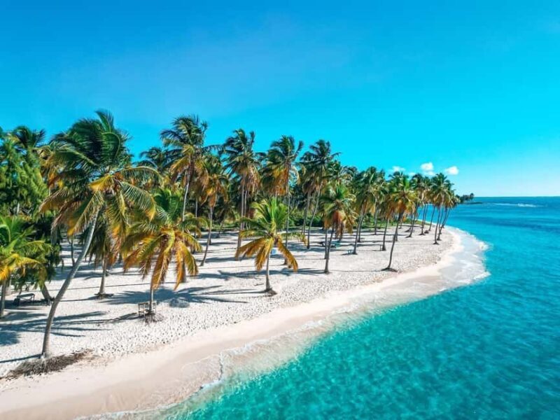 Punta Cana: Saona Island Speedboat and Catamaran Tour - The Itinerary: What You Can Expect from Start to Finish