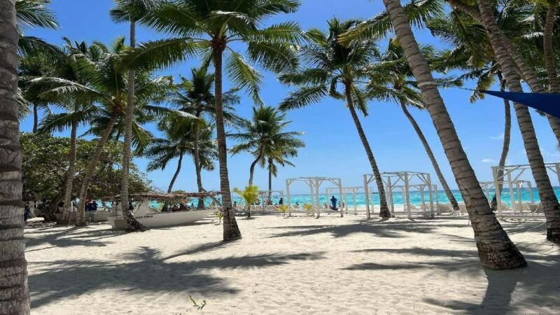 Punta Cana: Saona Island Speedboat Tour with Lunch - How This Tour Compares to Similar Experiences