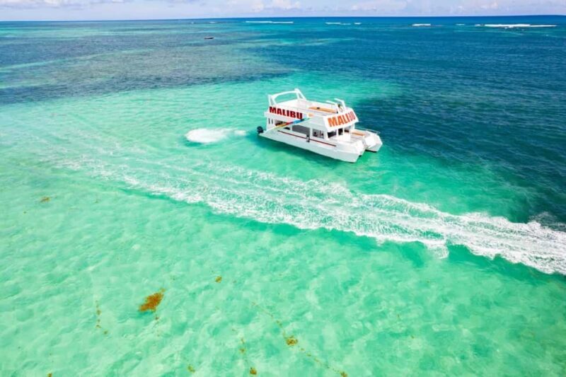 Punta Cana: Saona Island Tour with Transportation - Good To Know