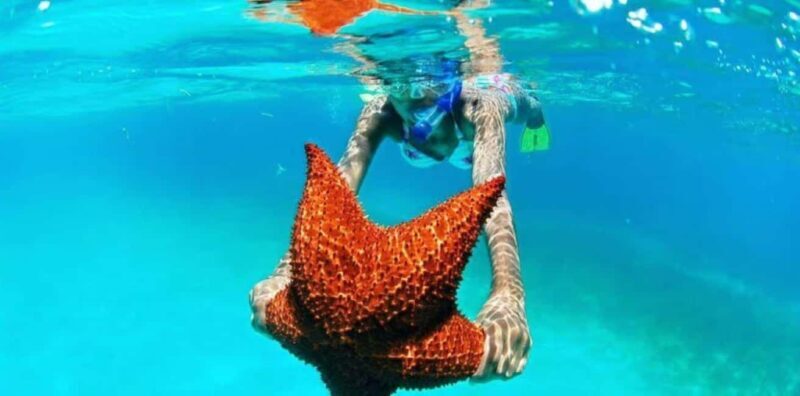 Punta Cana: Saona Island VIP Catamaran Tour with Lunch - Good To Know