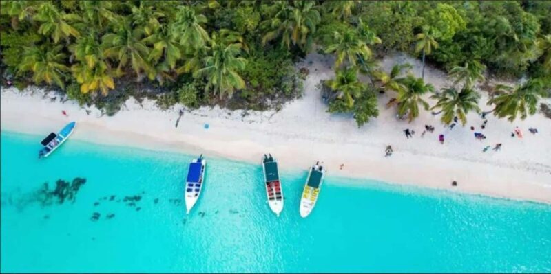 Punta Cana: Saona Island VIP Catamaran Tour with Lunch - FAQs