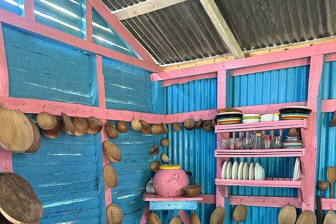 Punta cana scenic tour with lunch horses and cenote - Introduction