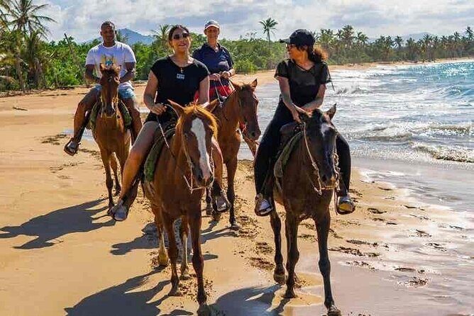 Punta cana scenic tour with lunch horses and cenote - The Itinerary in Detail