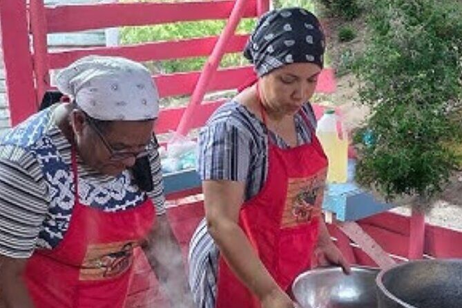 Punta cana scenic tour with lunch horses and cenote - Authentic Traveler Insights