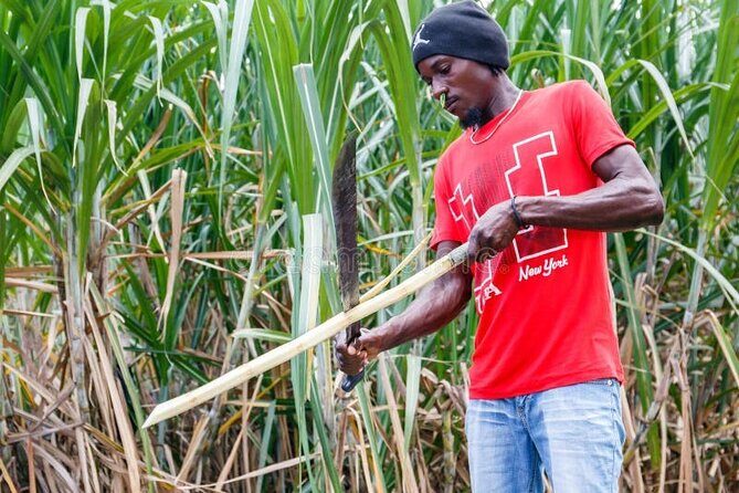 Punta cana scenic tour with lunch horses and cenote - FAQ