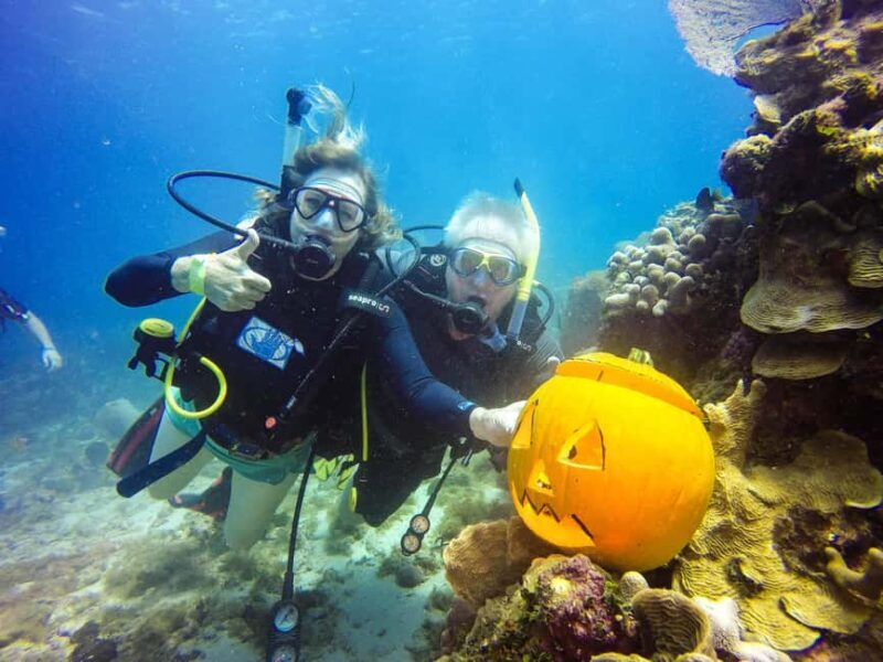 Punta Cana: Scuba Diving Adventure to Catalina Island - What to Expect on the Tour