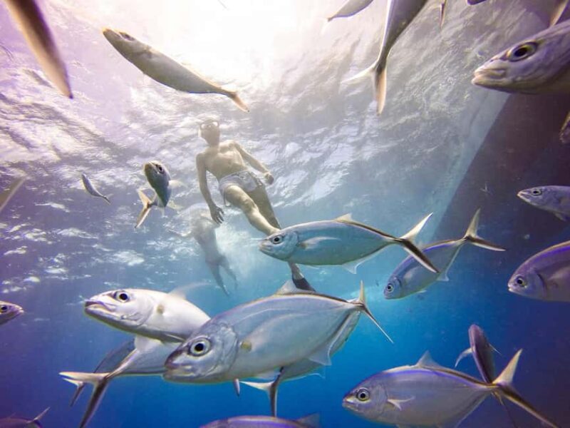 Punta Cana: Scuba Diving Adventure to Catalina Island - FAQ