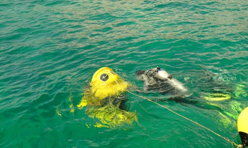 Punta Cana: Scuba Doo Adventure with Round-Trip Transfer - Why This Tour Could Be Perfect for You