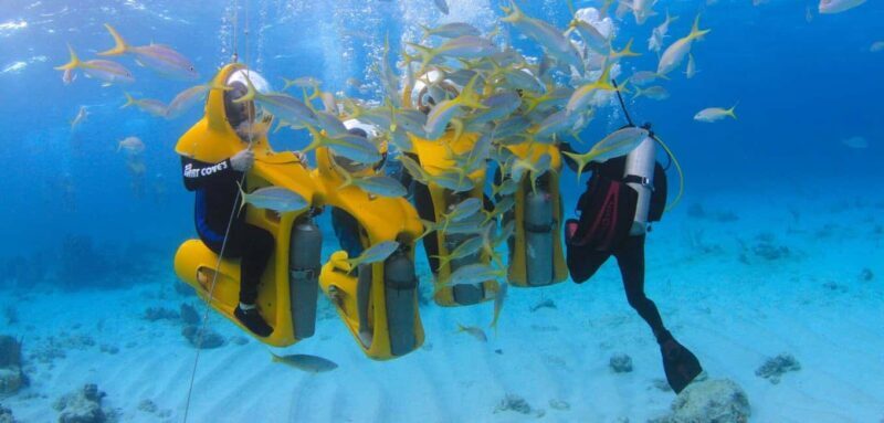 Punta Cana: Scuba Doo Underwater Scooter Adventure - Good To Know  
