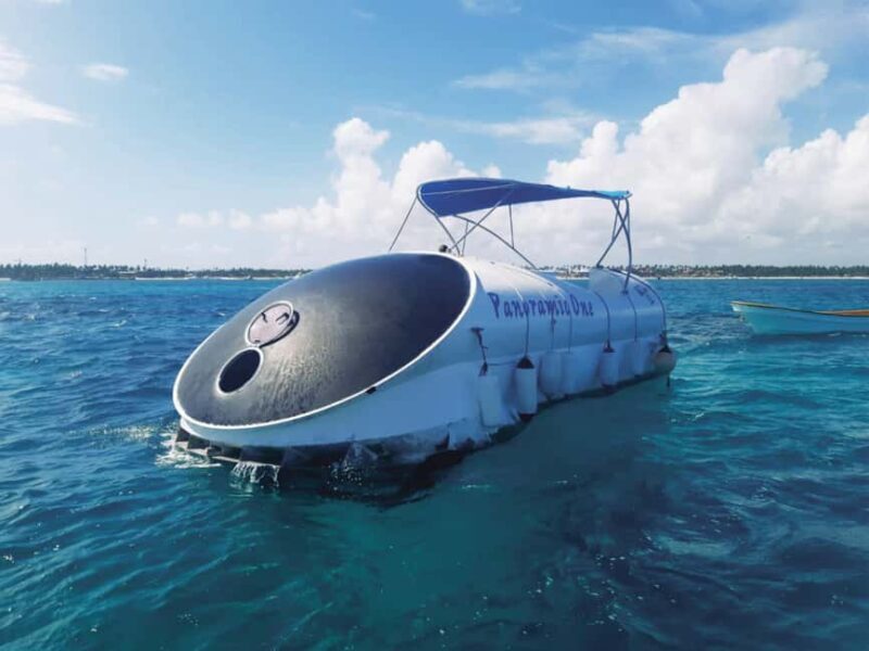 Punta Cana: Scubadoo Ocean Exploration Diving Adventure - Practical Aspects & Considerations