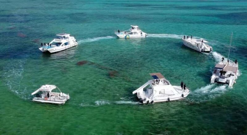 Punta Cana: Snorkeling Cruise with Open Bar & Snacks - Good To Know