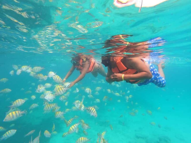 Punta Cana: Speed Boat Ride & Snorkel Adventure - What You Can Expect During the Tour
