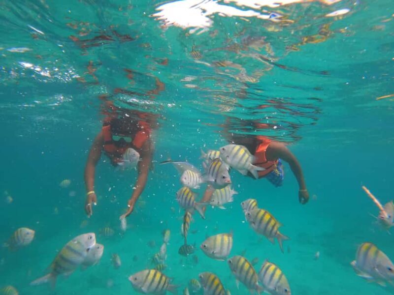 Punta Cana: Speed Boat Ride & Snorkel Adventure - Insights from Reviewers