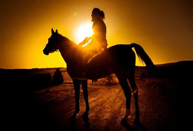 Punta Cana: Sunset Horseback Ride in Macao Beach and Forest - What Makes This Tour Stand Out
