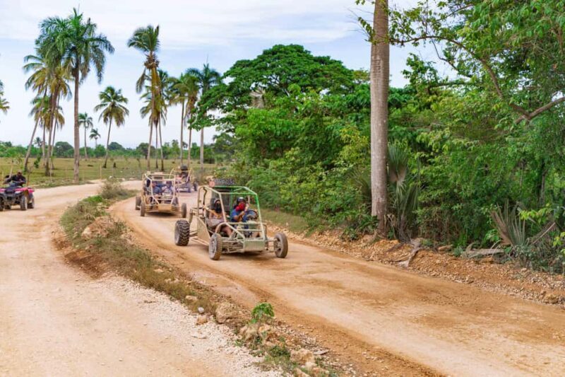 Punta Cana: Thrilling Off-Road Buggy Adventure - What to Expect from the Punta Cana Off-Road Buggy Tour
