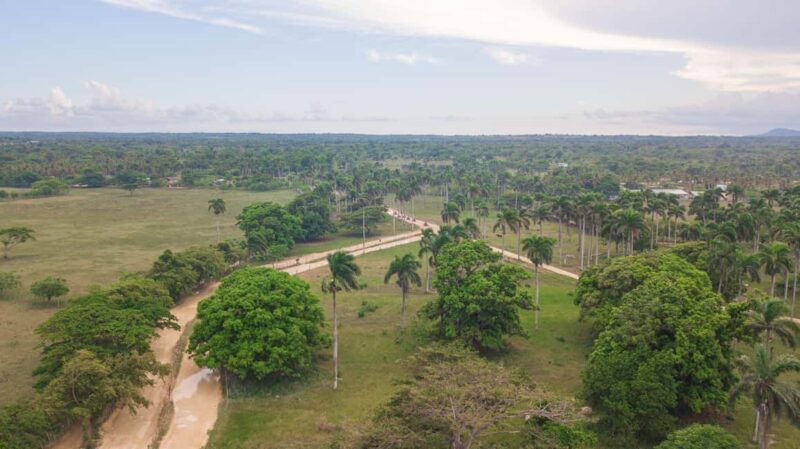 Punta Cana: Thrilling Off-Road Buggy Adventure - The Realities: Pros and Cons