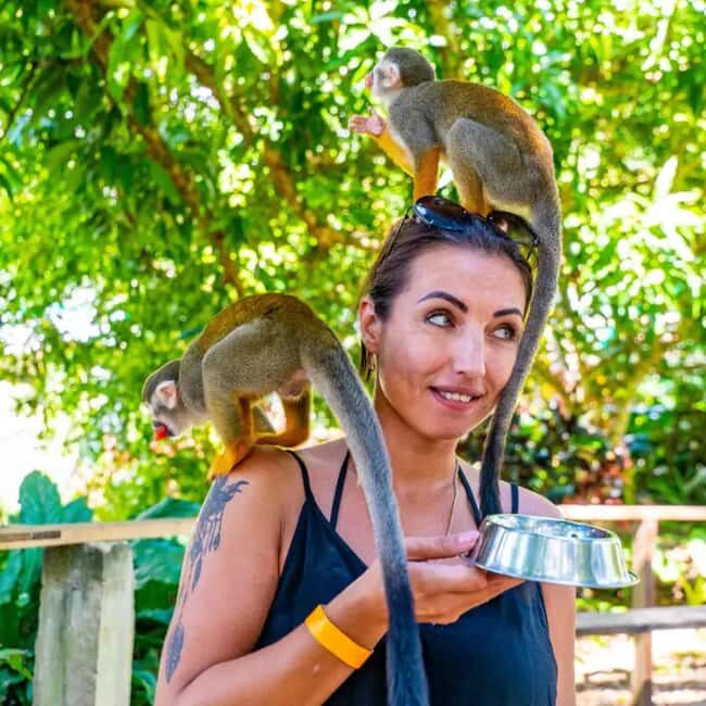 Punta Cana: Tour Aventura con Monos con Recogida en el Hotel - What Is This Tour About?