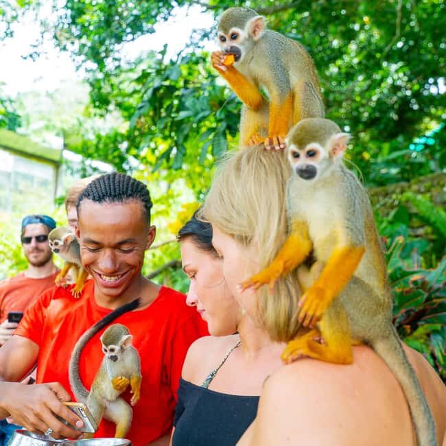 Punta Cana: Tour Aventura con Monos con Recogida en el Hotel - Transportation and Logistics