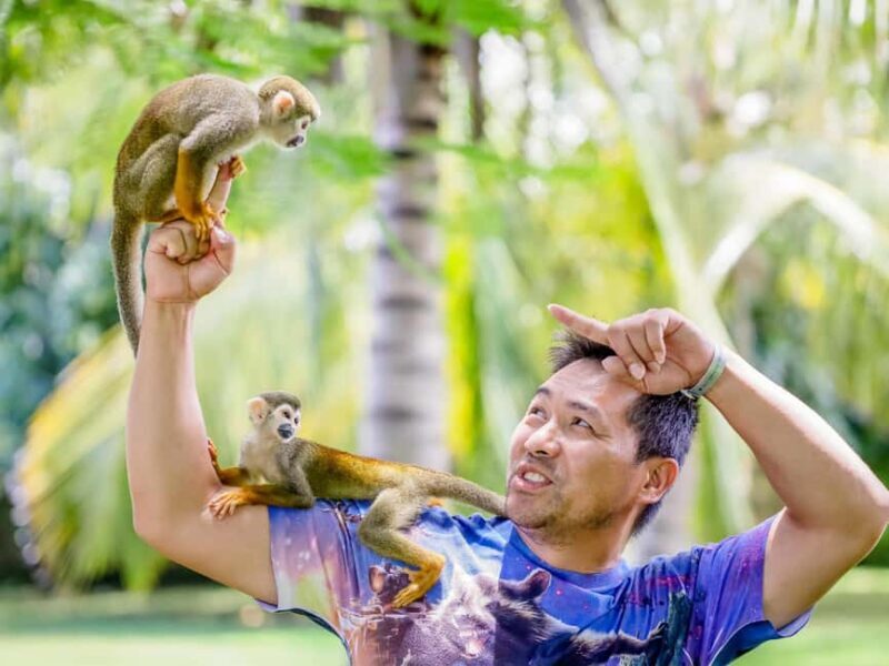 Punta Cana: Tour Monkey Adventure With Hotel Pick Up - Introduction