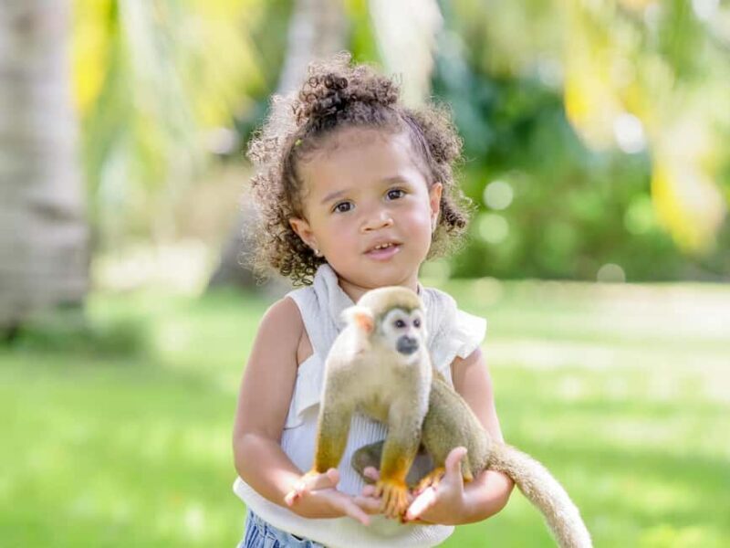 Punta Cana: Tour Monkey Adventure With Hotel Pick Up - The Practical Side: Duration, Cost, and Group Size