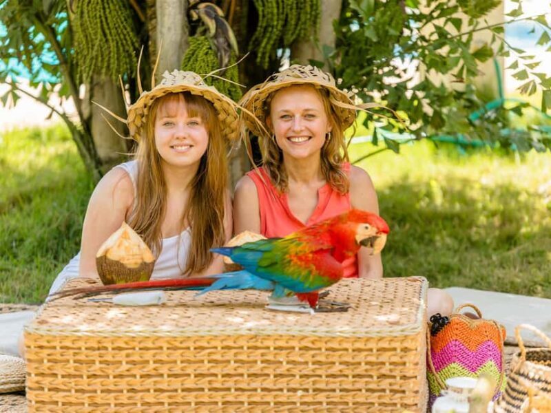 Punta Cana: Tour Monkey Adventure With Hotel Pick Up - The Sum Up