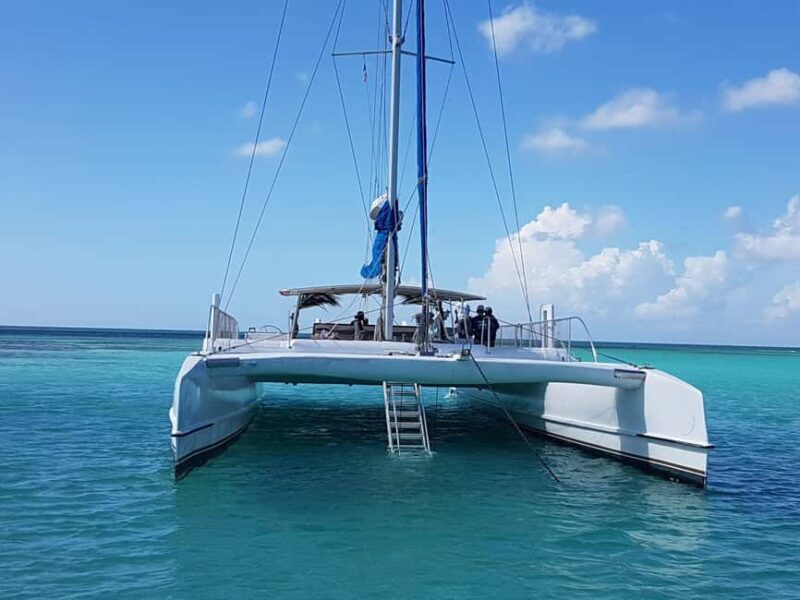 Punta Cana Tourist Package with Buggy and Saona, Transportation Included - Good To Know