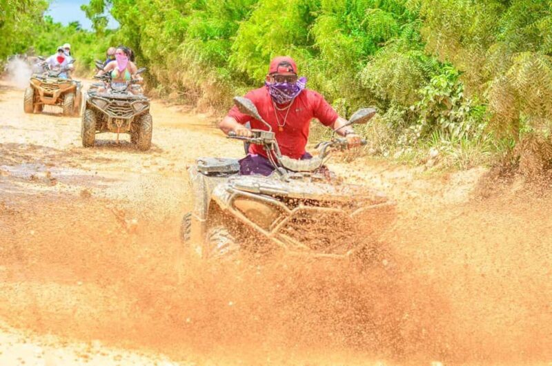 Punta Cana Tourist Package with Buggy and Saona, Transportation Included - Who Will Love This Tour?