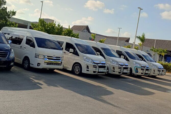 Punta Cana VIP Private Transfer Service - Good To Know