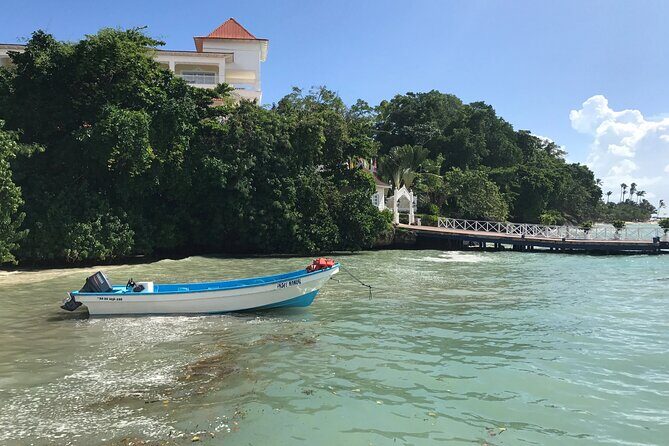 Punta Cana Whale Watching and Bacardi Island Day Trip - Final Thoughts