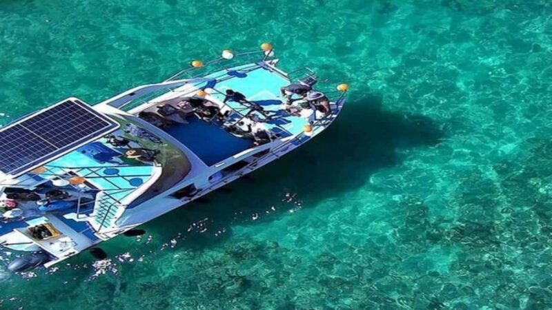 Punta Cana: Whale Watching, Cayo Levantado & Waterfall - Good To Know