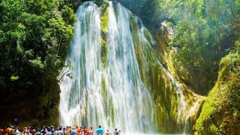 Punta Cana: Whale Watching, Cayo Levantado & Waterfall - Authenticity and Value