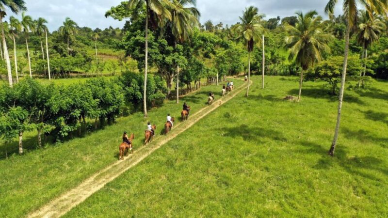 Punta Cana: Xploration Animal Park Bus Tour with Encounters - Who Should Consider This Tour?