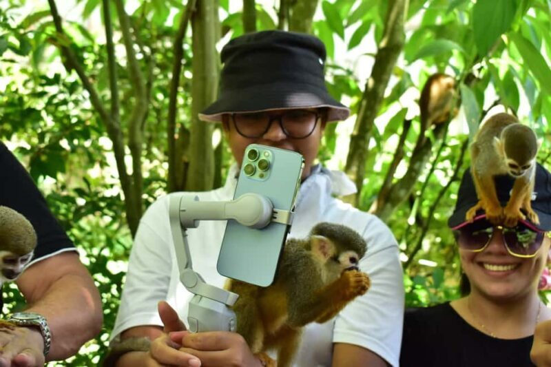 Punta Cana: Zip Line, Monkeyland, & Coconut House Tour - Who Will Love This Tour?