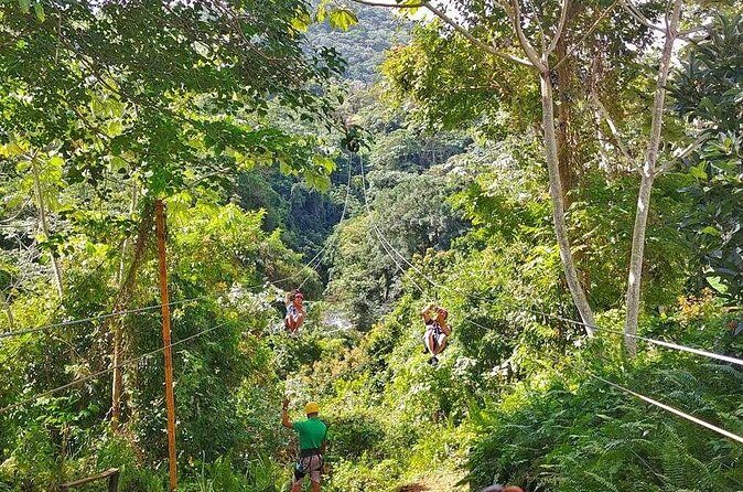 Punta Cana Zipline Adventure Soar Over the Caribbean Jungle - Final Thoughts  