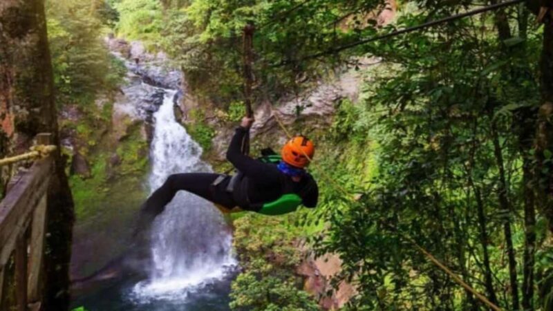 Punta Cana: Zipline Canopy Adventure with Hotel Pickup - Who is This Tour Best For?