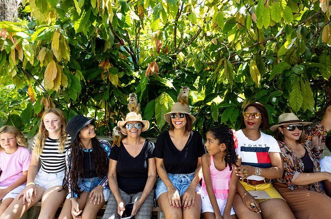 Punta Cana Zipline Jungle Adventure - Pricing and Value