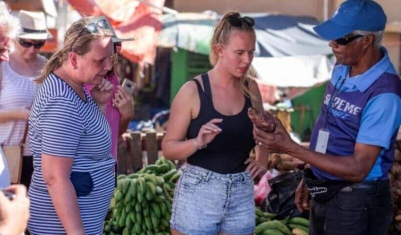 Punta Cana:Samaná Bay,Bacardí Island and El Limón Waterfall - Good To Know  