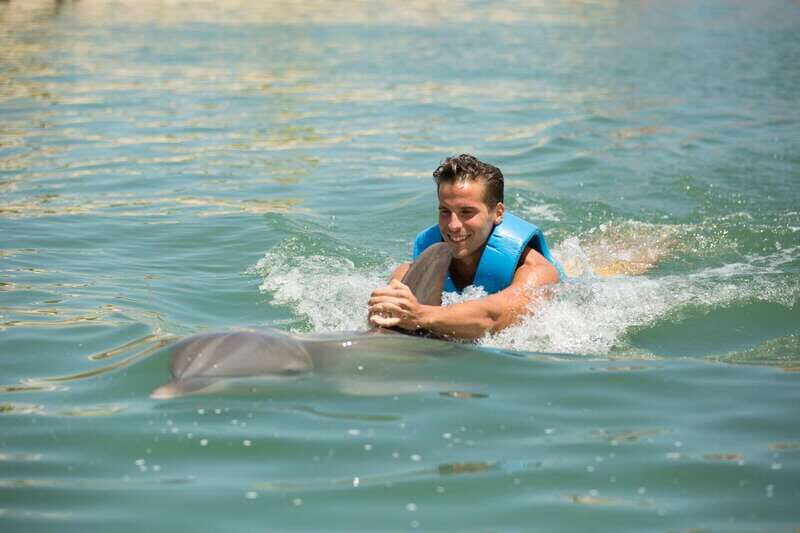 Punta Cancun: Swim with dolphins Interax - What You Can Expect from the Dolphin Experience