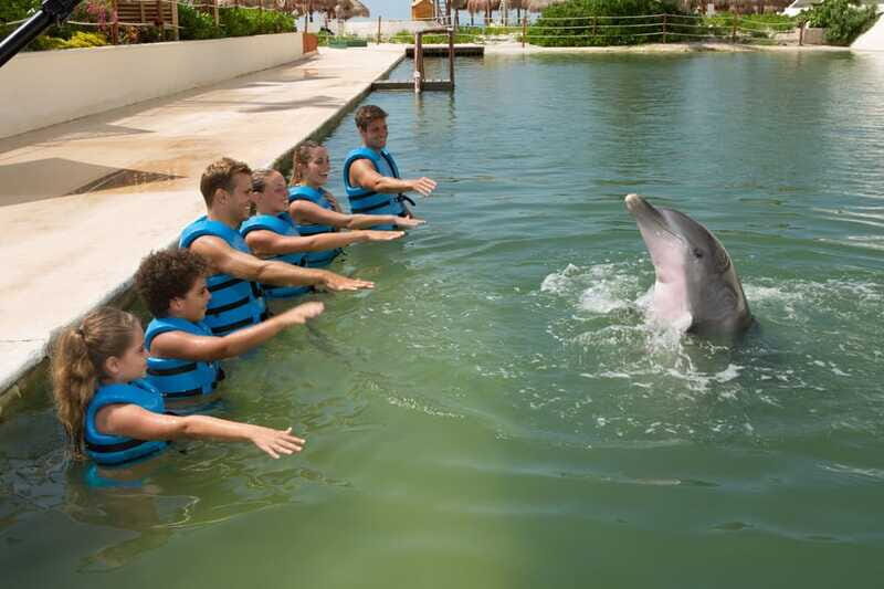 Punta Cancun: Swim with dolphins Interax - Authentic Insights from Reviewers