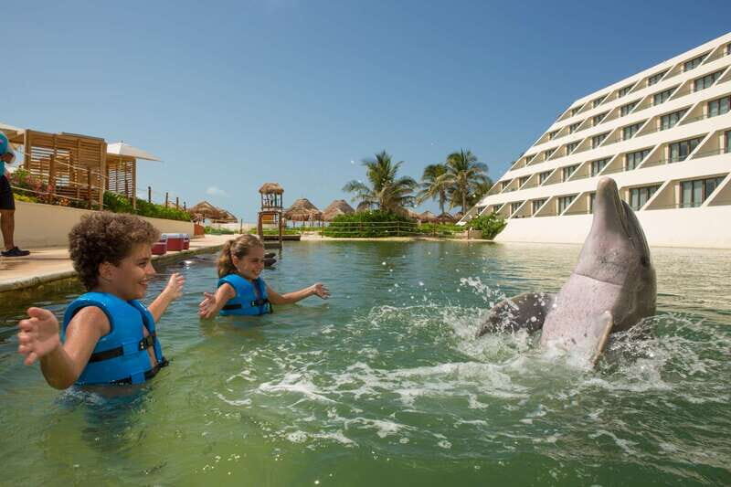 Punta Cancun: Swim with dolphins Primax - The Value of the Tour