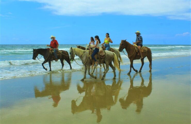 Punta De Mita/Sayulita: Horseback Riding Tour - Booking Details
