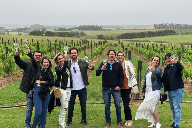 Punta Del Este Small-Group Wine Tour With Expert Guide - Pricing and Booking Details