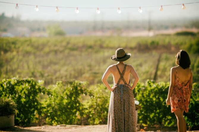 Punta Del Este Small-Group Wine Tour With Expert Guide - Tour Overview