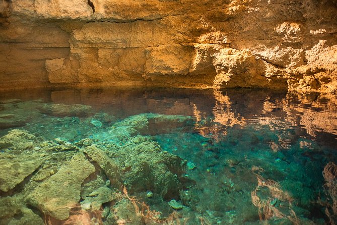 Punta Laguna Nature Reserve Adventures From Playa De Carmen  - Playa Del Carmen - Inclusions and Recommendations